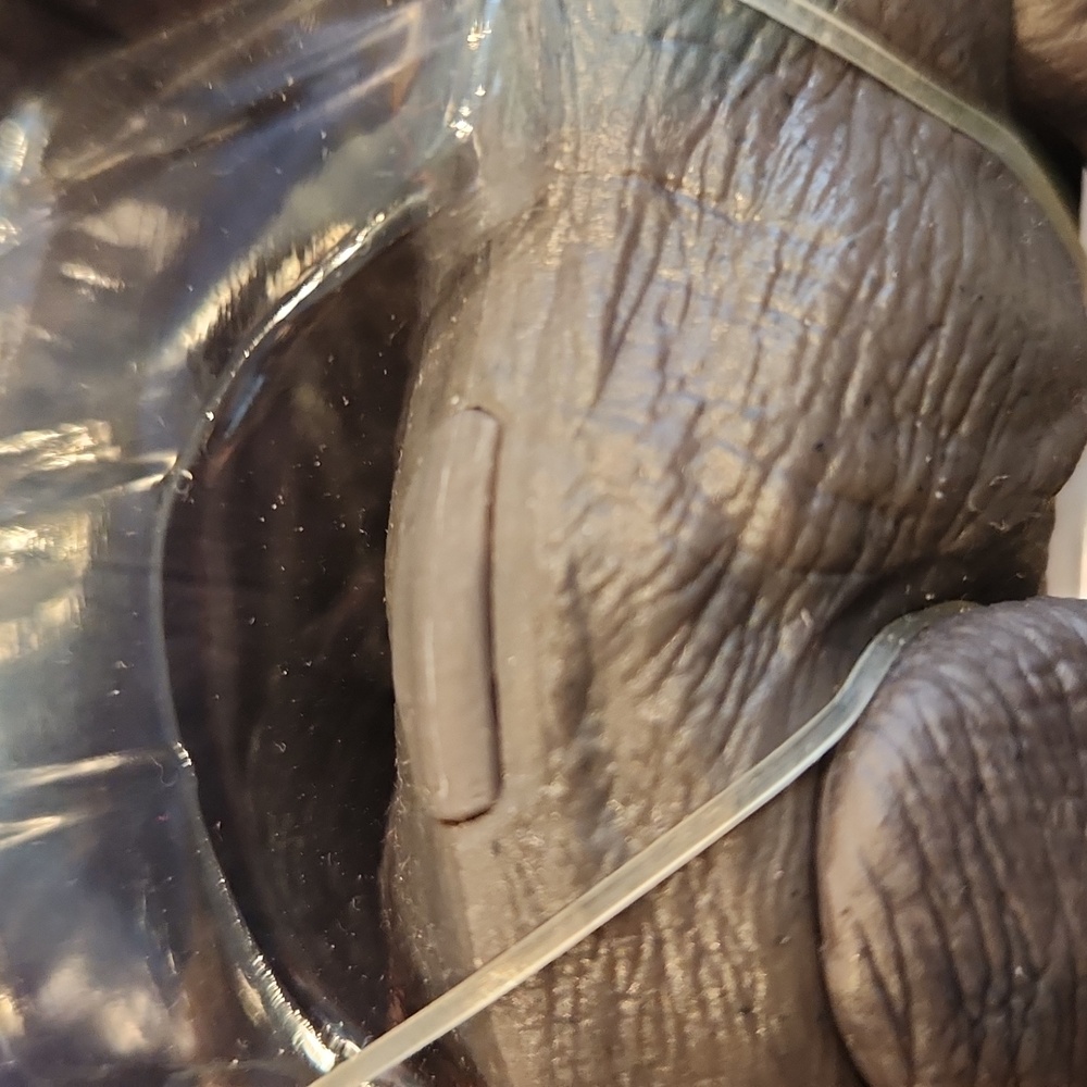 Jurassic World Dominion, The Ferocious Pack "Nasutoceraptor" new - Picture 7 of 13